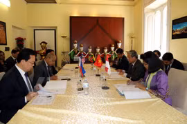 Vietnamese ambassador chairs ASEAN Committee in Rome’s meeting