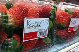 RoK strawberry imports face new rules