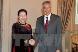 Chairwoman’s Singapore, Australia trip concludes NA’s eventful year