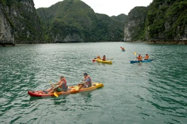 Quang Ninh manages sports services on Ha Long Bay 