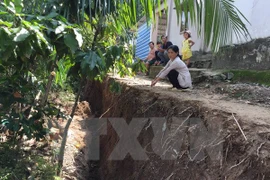Deputy PM urges Mekong Delta to set forth scenarios for landslide response 