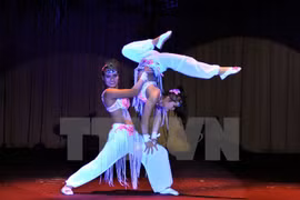 Vietnam wins highest prix at Cuba circus festival