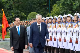 Vietnam, Czech Republic issue joint statement