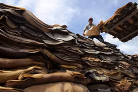 Thailand, Malaysia, Indonesia to stabilise rubber price