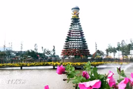 Colorful flowers adorn the preparations for the Xuan Quan Flower Village Festival in Van Giang, Hung Yen province. (Photo: VNA)