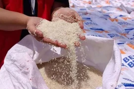 Indonesia considers importing 1 million tonnes of rice from India