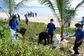 Collecting waste on a beach in the central region. (Photo: VNA)