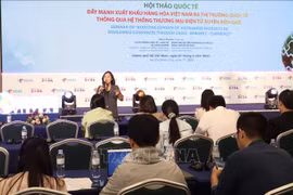 At the international seminar on Vietnam's exports and cross-border e-commerce held in Ho Chi Minh City on June 7. (Photo: VNA)