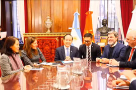 Deputy Secretary of the municipal Party Committee and Chairman of the municipal People's Council Nguyen Ngoc Tuan (4th from right) at his meeting with the council and administration of Buenos Aires on August 12. (Photo: VNA)