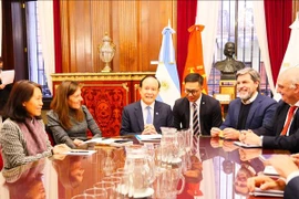 Deputy Secretary of the municipal Party Committee and Chairman of the municipal People's Council Nguyen Ngoc Tuan (4th from right) at his meeting with the council and administration of Buenos Aires on August 12. (Photo: VNA)