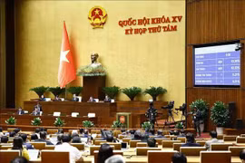 At the NA's 8th session (Source: VNA)
