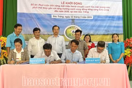 At the ceremony in Soc Trang on May 22, companies and enterprises signs a memorandum of understanding for cooperation in rice production and consumption with the Hung Loi Agricultural Cooperative, which is piloting 50 hectares of rice under the project. (Photo: baosoctrang.org)