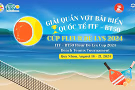 The poster of the event (Source: binhdinh.gov.vn)