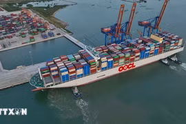Canada is currently pressing ahead with its Indo - Pacific strategy implementation, investing approximately 2 billion USD in trade to build more connections with and strengthen its presence in the region. (Photo: VNA)