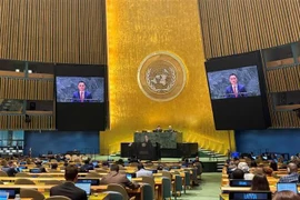 Ambassador Dang Hoang Giang, Permanent Representative of Vietnam to the United Nations, speaks at the annual plenary discussion on oceans and the law of the sea held by the UN General Assembly. (Photo: VNA)