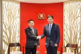 Minister of Finance Ho Duc Phoc (L) and Singaporean Second Minister for Finance Chee Hong Tat at their meeting in Singapore on August 5. (Photo: VNA)