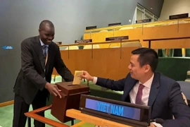 Ambassador Dang Hoang Giang, Permanent Representative of Vietnam to the United Nations, cast his vote at the election in New York on November 20 (local time). (Photo: VNA)