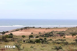 Core area of the former Ninh Thuan 1 nuclear power plant project in Vinh Truong hamlet, Phuoc Dinh commune, Thuan Nam district, Ninh Thuan province. (Photo: VNA)