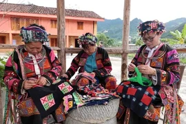Women of the Lo Lo ethnic group in Ha Giang province skillfully embroider intricate patterns on traditional clothing. (Photo: VNA) 