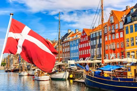  Book on Danish market published