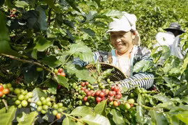 Workshop spotlights business chances in Vietnam for Belgian firms