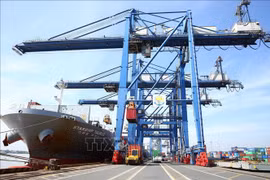 Domestic firms to receive consultations to strengthen export to RCEP markets