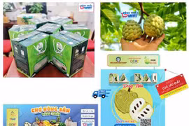 Quang Ninh farms turn to tech to grow agriculture sector 