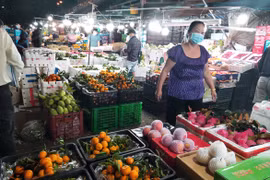 HCM City wholesale markets see rapid increase in supply