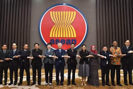 Vietnam co-chairs ASEAN-Korea Joint Cooperation Committee’s meeting