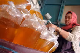 Indonesia sets fixed cooking oil price 