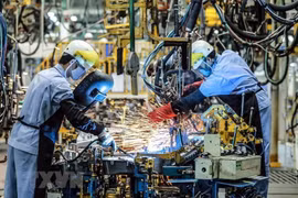Vietnam a magnet for foreign investment: Business Times