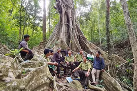 Relentless efforts to protect Kon Ha Nung biosphere reserve
