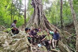Relentless efforts to protect Kon Ha Nung biosphere reserve