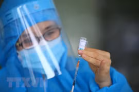 Vietnam records 206 new COVID-19 cases on November 14
