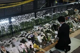 Respect-paying service held for Vietnamese victim in Itaewon stampede