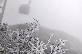 Frost covers Fansipan peak in mid-spring