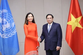 UN Resident Coordinator: contribute towards an increasingly resilient Vietnam