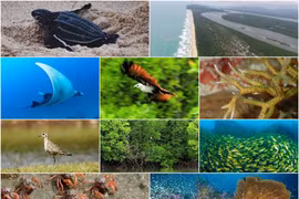 Thailand: Six Andaman nat’l parks included in UNESCO World Heritage Centre’s tentative list