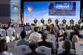 Vietnam attends Francophonie Economic Forum in Tunisia