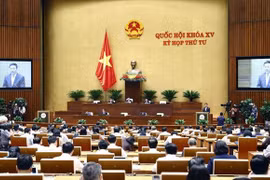 Handling of harmful information needs joint efforts: NA deputies