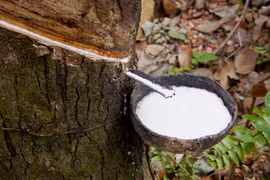Malaysia's rubber exports top 15 billion USD in 2021