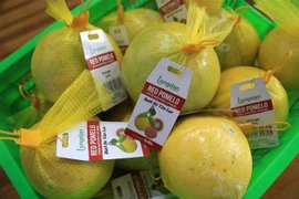 First lot of Tan Lac red-flesh grapefruit exported to UK