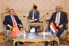 NA Vice Chairman pays working visit to Egypt