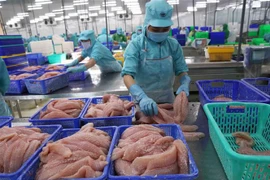 Chances for Vietnam farm produce to strengthen position in global market: insiders