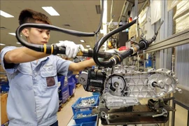 Brussels Times hails Vietnam as sustained development partner 