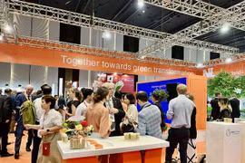 EU, Vietnam urged to expand cooperation in tackling climate change
