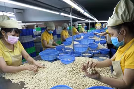 Vietnam records high export revenue from Cambodia