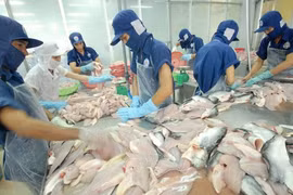 Strong growth recorded in tra fish exports to ASEAN markets