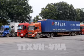 Customs clearance at northern border gates faces difficulties