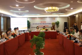 Workshop discusses revised draft law on anti-domestic violence
